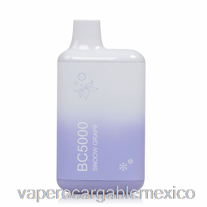 Vape Recargable Bc5000 Desechable Snoow Uva